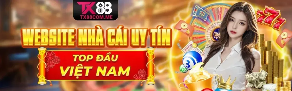 Hình ảnh bảng điều khiển quản lý tùy chọn cookie của người dùng trên x88